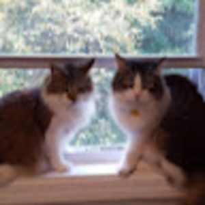 Meet your Posher, Susan